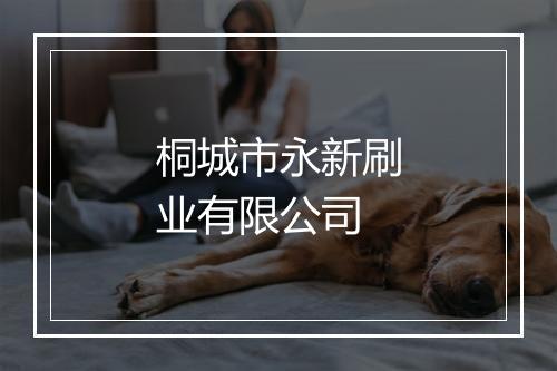 桐城市永新刷业有限公司