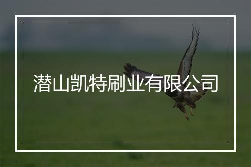 潜山凯特刷业有限公司