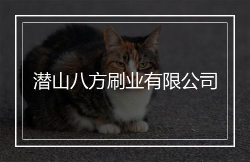 潜山八方刷业有限公司