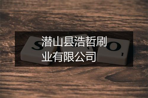潜山县浩哲刷业有限公司