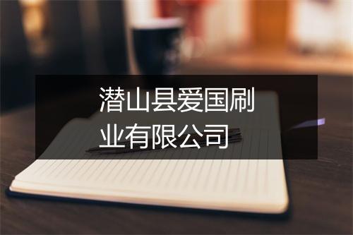 潜山县爱国刷业有限公司