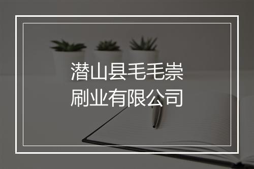 潜山县毛毛崇刷业有限公司