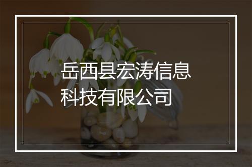 岳西县宏涛信息科技有限公司