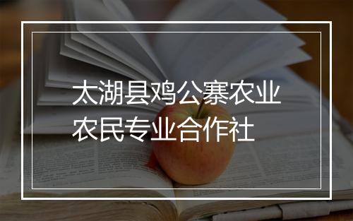 太湖县鸡公寨农业农民专业合作社