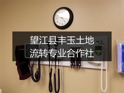望江县丰玉土地流转专业合作社
