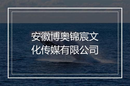 安徽博奥锦宸文化传媒有限公司
