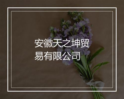 安徽天之坤贸易有限公司