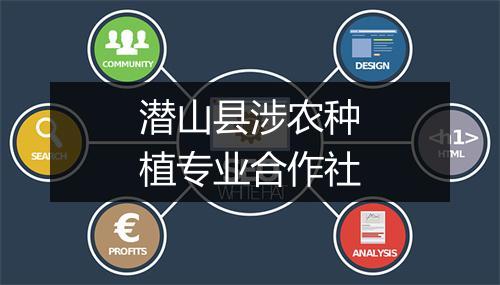 潜山县涉农种植专业合作社