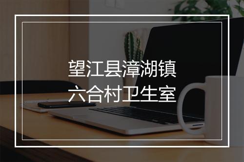 望江县漳湖镇六合村卫生室