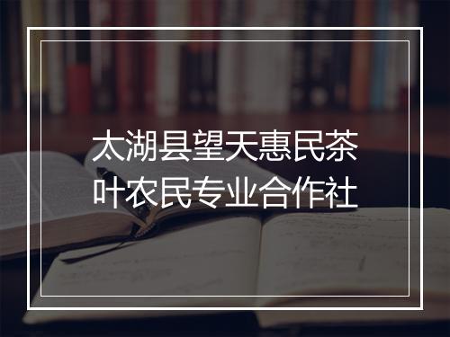 太湖县望天惠民茶叶农民专业合作社