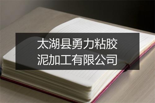 太湖县勇力粘胶泥加工有限公司