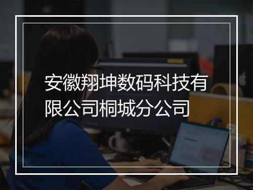 安徽翔坤数码科技有限公司桐城分公司