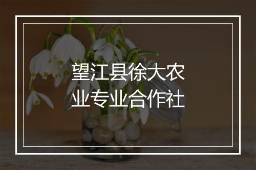 望江县徐大农业专业合作社