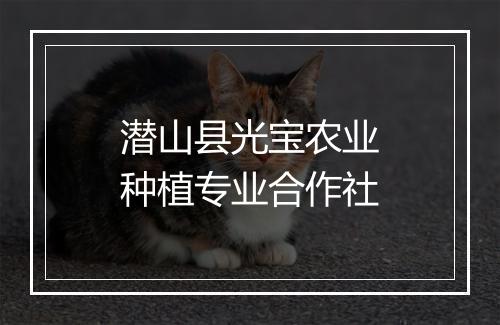 潜山县光宝农业种植专业合作社