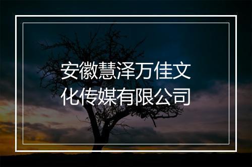 安徽慧泽万佳文化传媒有限公司