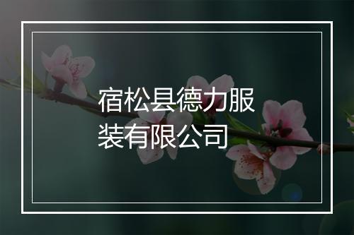 宿松县德力服装有限公司