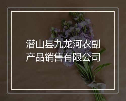 潜山县九龙河农副产品销售有限公司