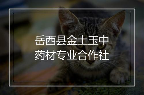 岳西县金土玉中药材专业合作社