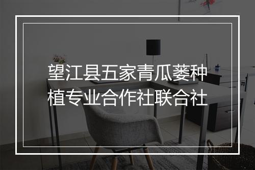 望江县五家青瓜蒌种植专业合作社联合社