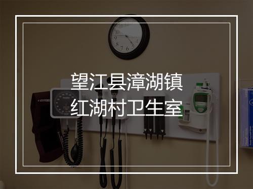 望江县漳湖镇红湖村卫生室
