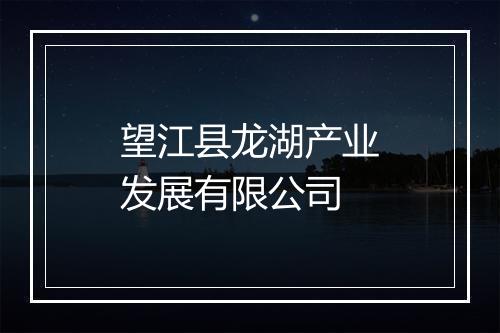 望江县龙湖产业发展有限公司