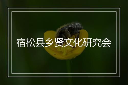 宿松县乡贤文化研究会