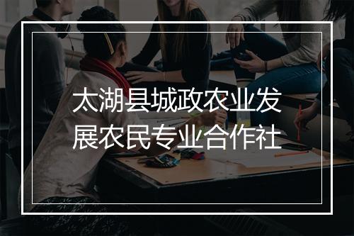 太湖县城政农业发展农民专业合作社