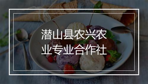 潜山县农兴农业专业合作社