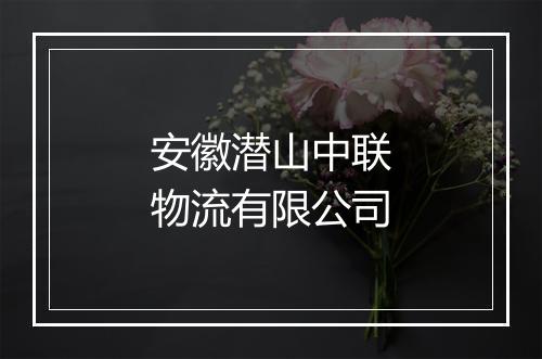 安徽潜山中联物流有限公司