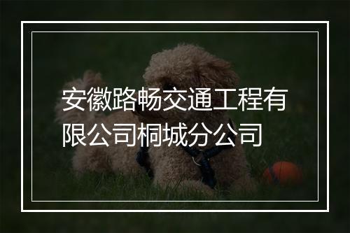 安徽路畅交通工程有限公司桐城分公司