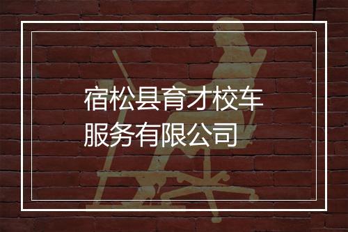 宿松县育才校车服务有限公司