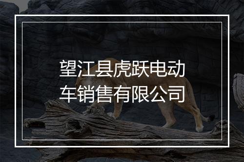 望江县虎跃电动车销售有限公司