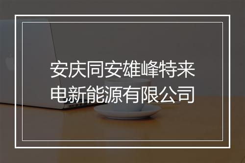 安庆同安雄峰特来电新能源有限公司
