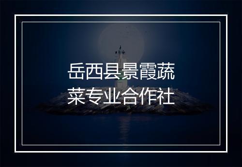 岳西县景霞蔬菜专业合作社