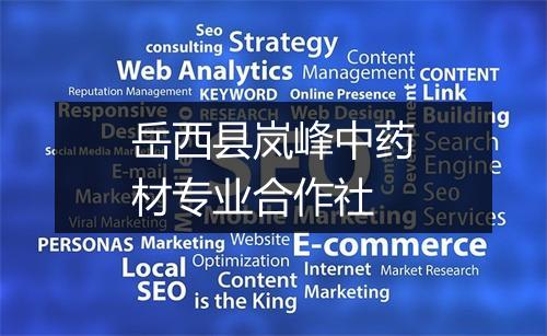 岳西县岚峰中药材专业合作社