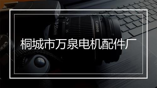 桐城市万泉电机配件厂