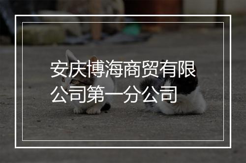 安庆博海商贸有限公司第一分公司