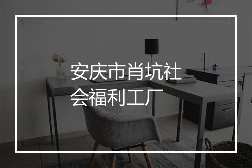 安庆市肖坑社会福利工厂
