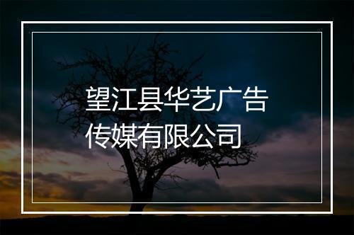 望江县华艺广告传媒有限公司