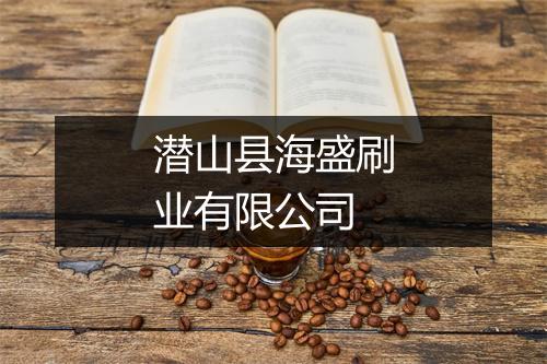 潜山县海盛刷业有限公司