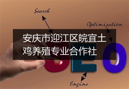 安庆市迎江区皖宜土鸡养殖专业合作社