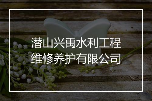 潜山兴禹水利工程维修养护有限公司