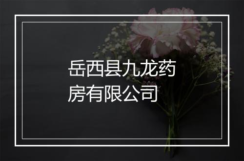 岳西县九龙药房有限公司