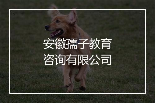 安徽孺子教育咨询有限公司