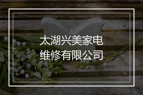 太湖兴美家电维修有限公司