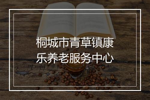 桐城市青草镇康乐养老服务中心