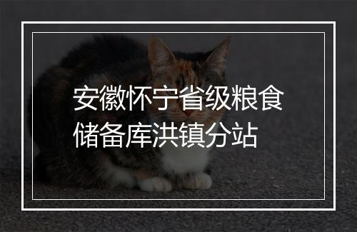 安徽怀宁省级粮食储备库洪镇分站
