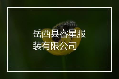 岳西县睿星服装有限公司