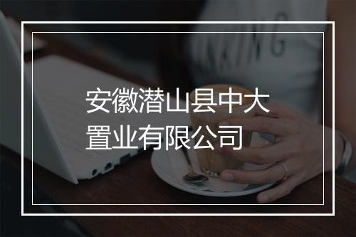 安徽潜山县中大置业有限公司