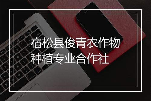 宿松县俊青农作物种植专业合作社